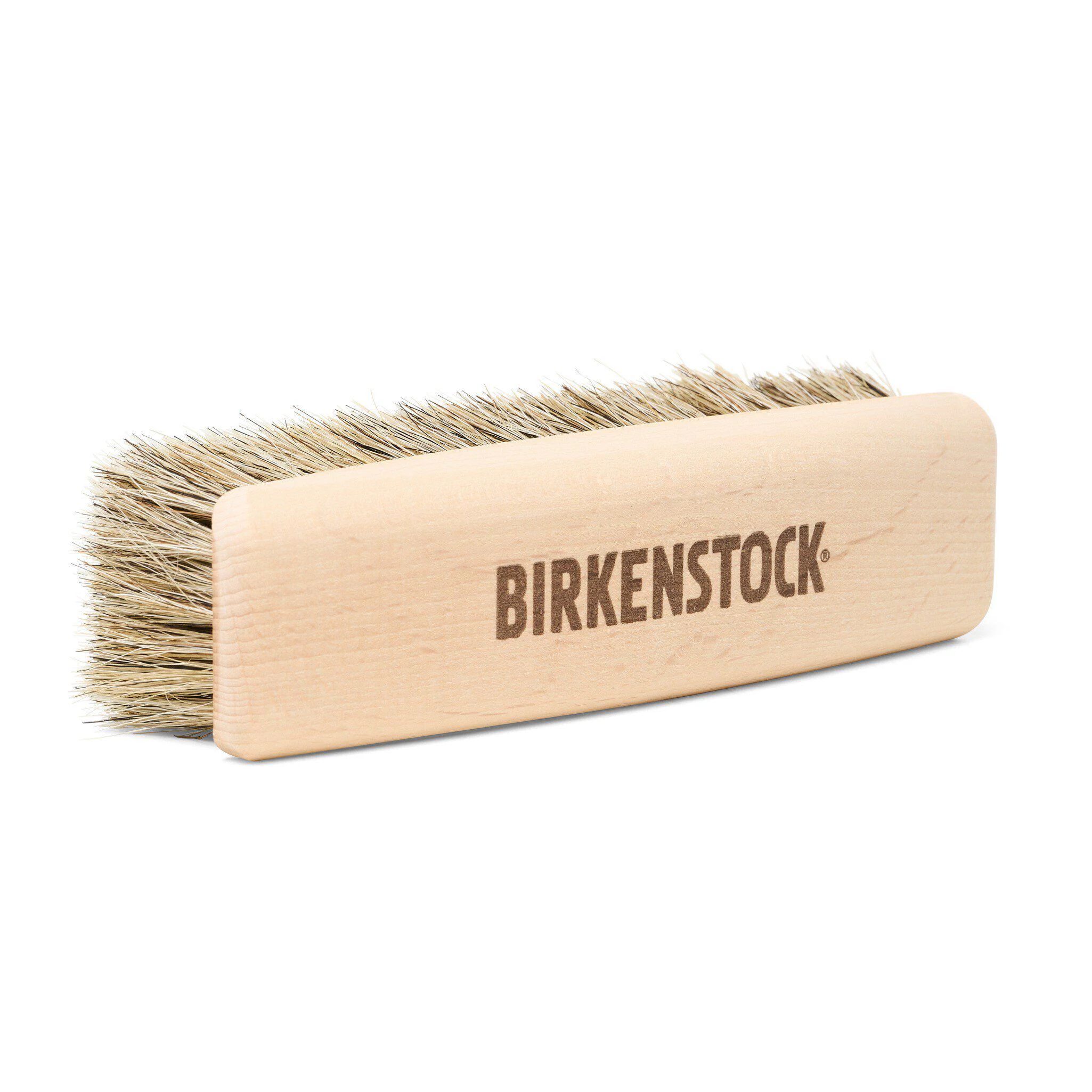 Polierbürste